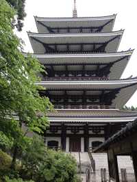 本当は教えたくないスポット👂日本一の大仏さんがここに居ます！壁面には小仏群1281体