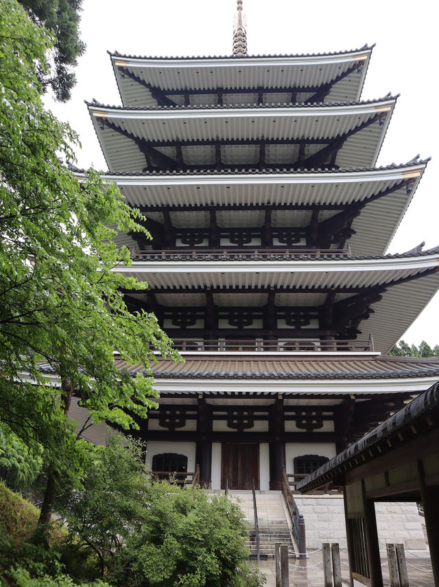 本当は教えたくないスポット👂日本一の大仏さんがここに居ます！壁面には小仏群1281体