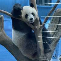台北市立動物園