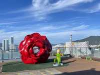 韓國釜山 松島海上纜車 松島Sky Park 송도해상케이블카 송도스카이파크