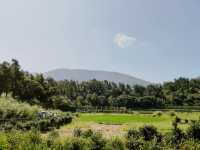 Yangmingshan National Park 
