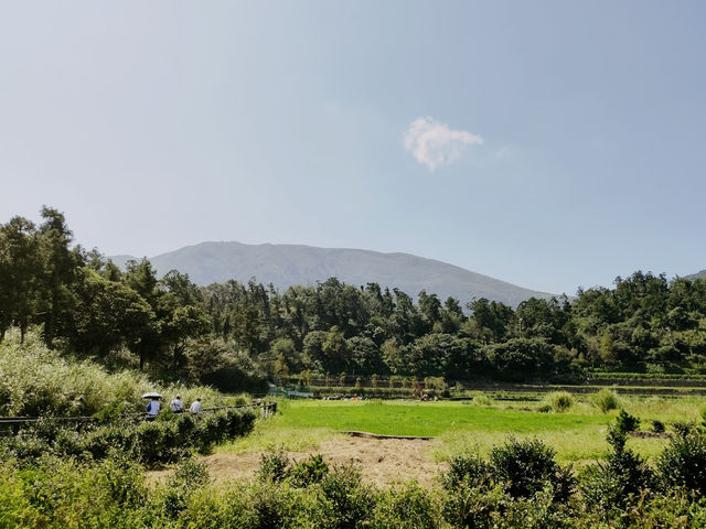 Yangmingshan National Park 