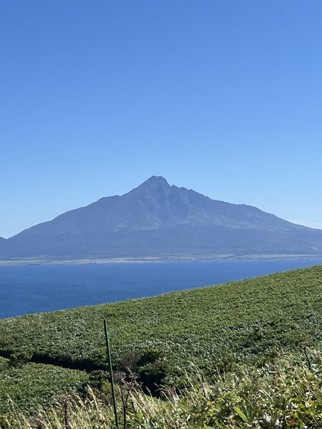 【礼文島】花の浮島桃岩展望台✨