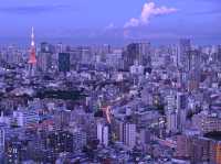 東京必去！超美免費入場的惠比壽花園廣場大樓38樓觀景台