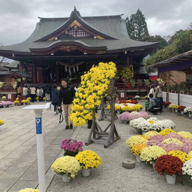 笠間稲荷神社！！