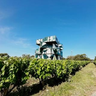 The d'Arenberg Cube