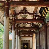 靈光寺：靜謐之境⛩️✨