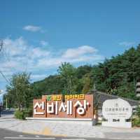 k문화 체험 테마파크