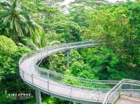 ทางเดินลอยฟ้า The Southern Ridges