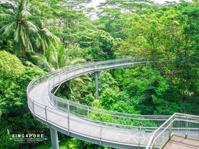 ทางเดินลอยฟ้า The Southern Ridges