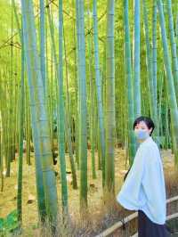 【秋のでーとにぴったり🍂のんびり歩きたい報国寺🎋】