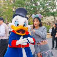 ‘Tokyo DisneySea’ โลเคชั่นสานฝันวัยเด็กที่ห้ามพลาด