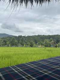 Dine by the Sticky Rice Fields of Luang Prabang