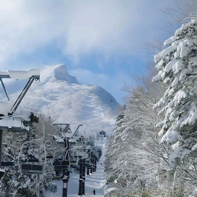 ⛷️ 【黑岳滑雪場】滑雪愛好者x冬季天堂 ❄️