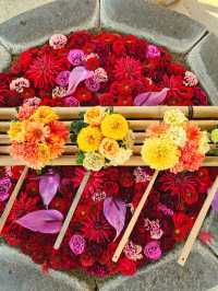 【京都/紅葉スポット】実は花手水が美しい💕めちゃくちゃ人気の人混み必須なお寺🧘‍♀️🍂