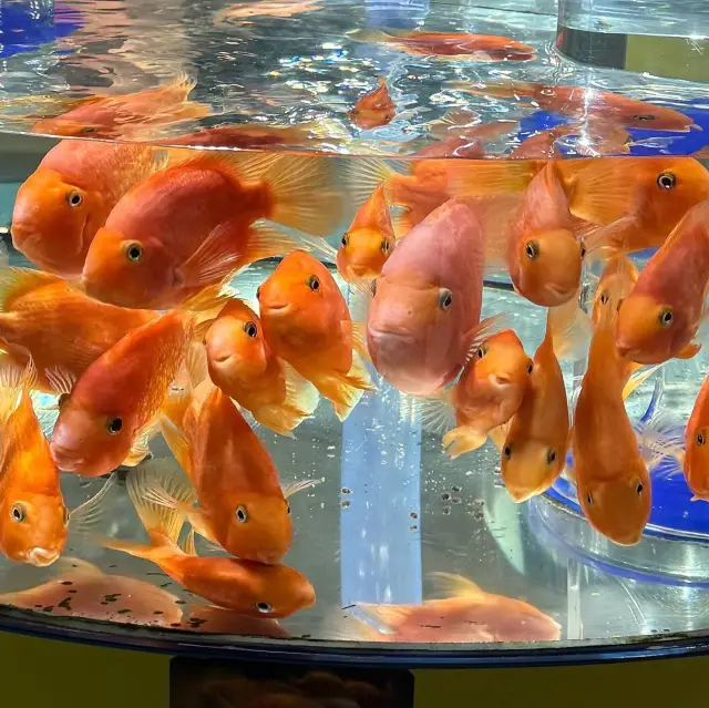 COEX Aquarium ในกรุงโซล