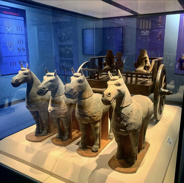 Xuzhou Han Dynasty Terracotta Warriors and Horses