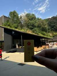 【福岡/太宰府】期間限定！今しか見れない太宰府天満宮⛩️