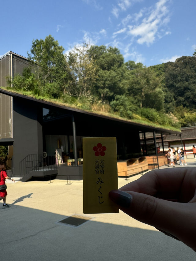 【福岡/太宰府】期間限定！今しか見れない太宰府天満宮⛩️