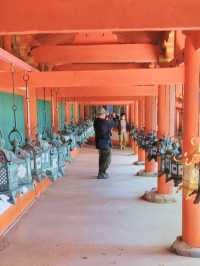 【朱塗りのあでやかな社殿が魅力✨世界遺産春日大社⛩️】