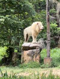 เที่ยวสวนสัตว์ขอนแก่นกัน