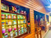 ตลาดศาลเจ้าโรงทอง
