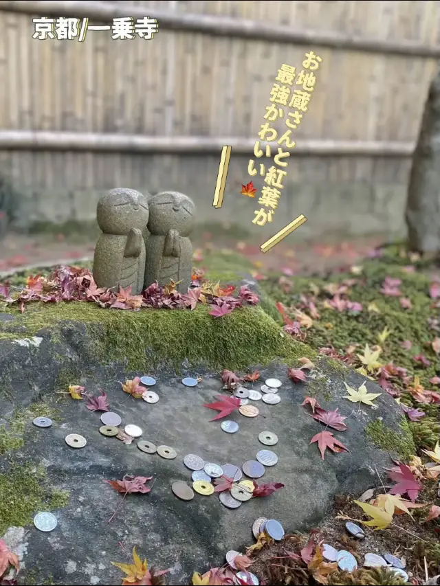 【紅葉×地藏好可愛！】秋季出遊推薦：京都詩仙堂