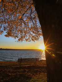 【バンクーバー🇨🇦】秋のビーチでゆったり紅葉狩り🍁