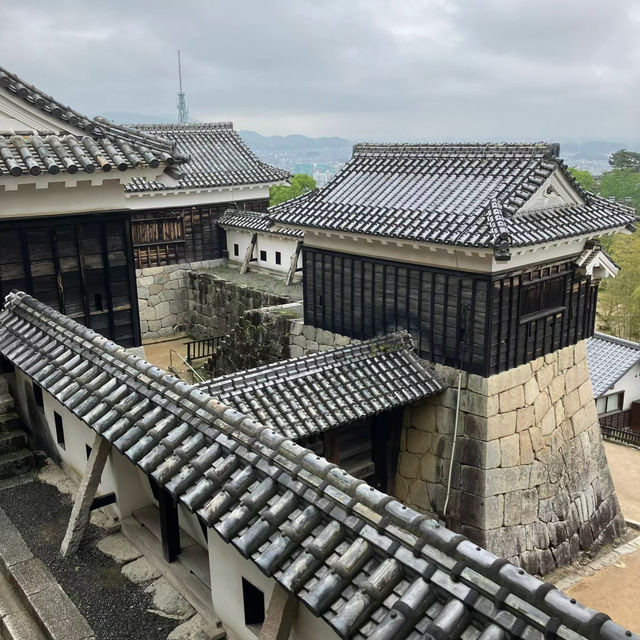 伏見城：歷史魅力 🏯✨