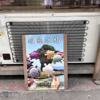 小琉球必食必打卡的海龜🐢冰棒✨