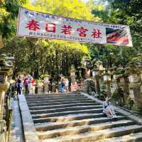 奈良°ㅣ原始森林中的千年神社ㅣ被鹿包圍的春日大社