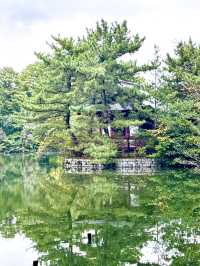 【東京都】練馬区にある自然と触れ合える場所