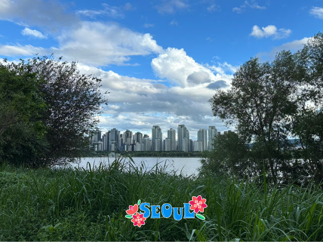 Cityscape and chill vibe of Inchon Hangang Park