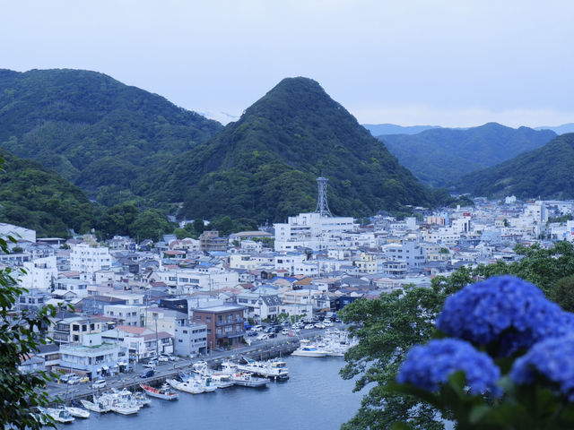 日本六月花海：靜岡縣免費景點