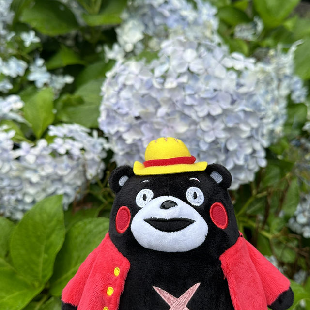 鹿兒島仙巖園神秘探險遊記🤩🥳