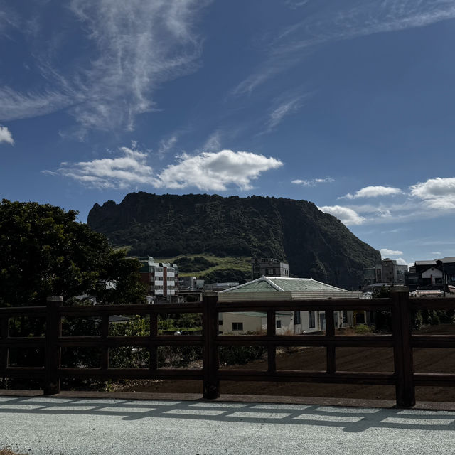 성산일출봉 정상에서 바라보는 한라산 풍경 ⛰️