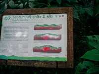 อุทยานแห่งชาติดอยอินทนนท์ จังหวัดเชียงใ