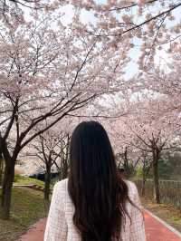 꽃 명소는 이곳!!