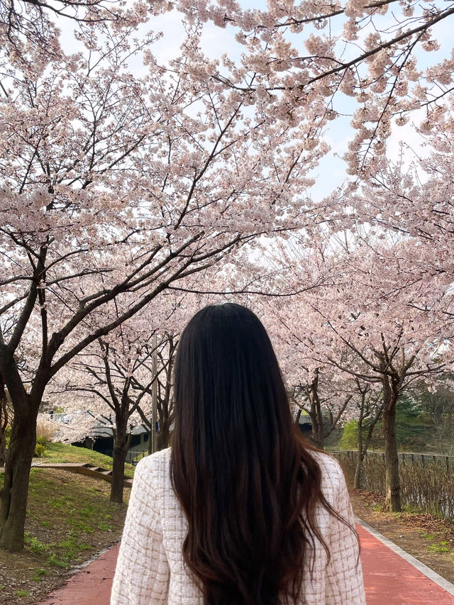 꽃 명소는 이곳!!