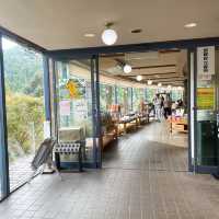 【宇目】祖母傾ユネスコエコパーク登録決定！景色抜群道の駅✨