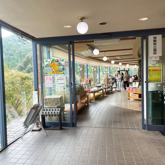 【宇目】祖母傾ユネスコエコパーク登録決定！景色抜群道の駅✨
