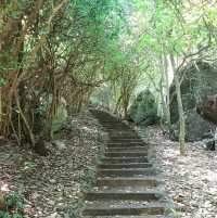 เดินป่าตามหานางพันธุรัต