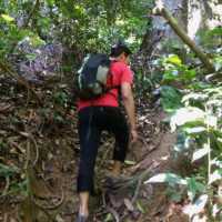 Bukit Kutu: A Challenging Yet Rewarding Day Hike in Selangor Malaysia 