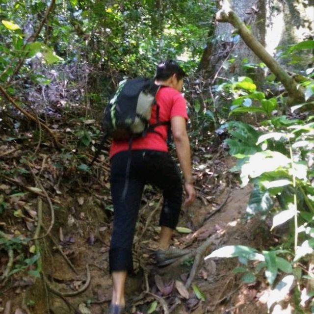 Bukit Kutu: A Challenging Yet Rewarding Day Hike in Selangor Malaysia 