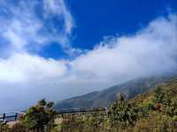หนาวนี้ .... เจอกัน ที่ กิ่วแม่ปาน