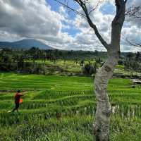 Jatiluwih Rice Terraces: A UNESCO World Heritage Gem
