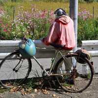Nagoro: Japan's Enchanting "Scarecrow Village"