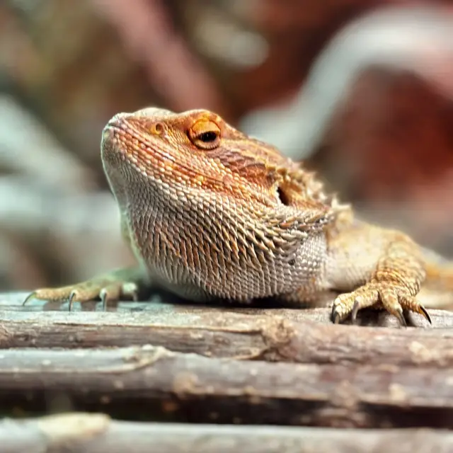 Aquarium KLCC Aquarium: A Fun Weekend Getaway for All 