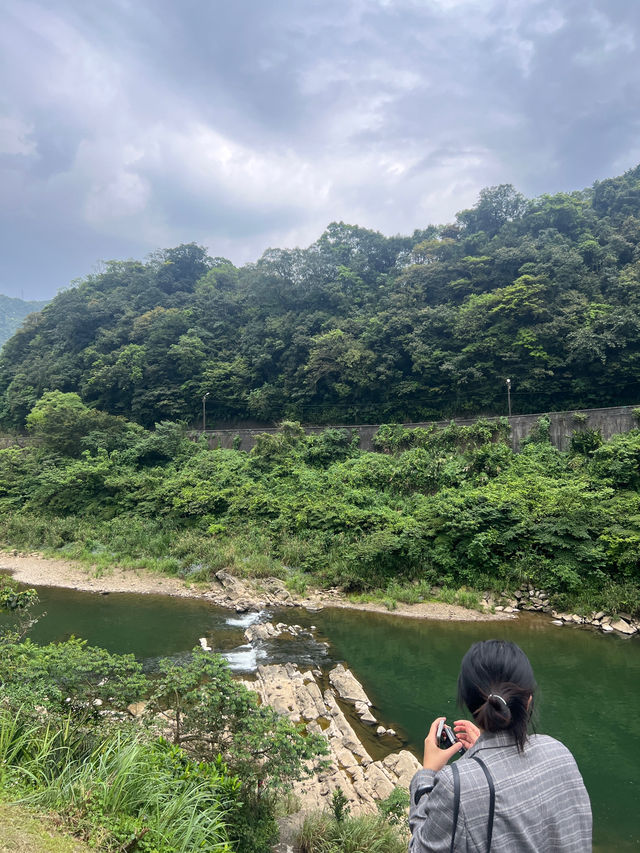 หมู่บ้านแมวที่ไต้หวัน Houtong Cat Village