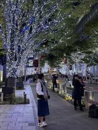 東京之旅｜六本木的聖誕節點燈！提早感受聖誕氣氛